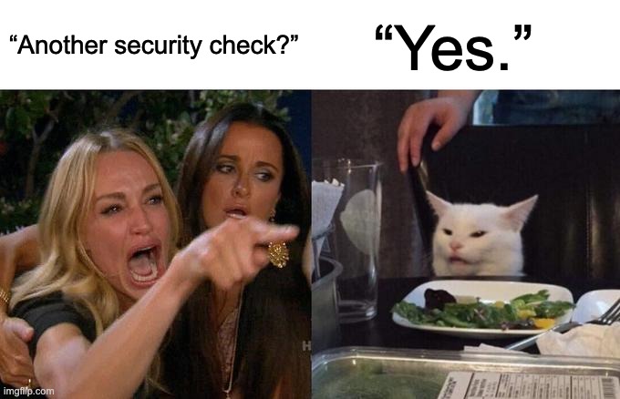 A meme featuring the 'Woman Yelling at Cat' format, where a blonde woman angrily points asking 'Another security check?' and a white cat smugly responds 'Yes.' while sitting at a dinner table.