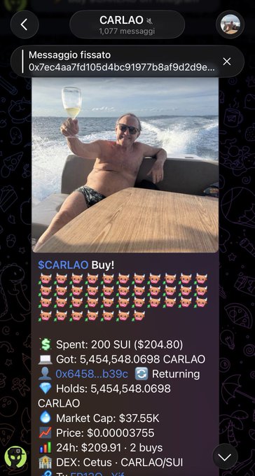 A Telegram chat screenshot of a pinned message from 'CARLAO' showing a meme image of a man holding wine on a boat, with trading details: $200 SUI spent, receiving 5,454,548.0698 CARLAO tokens at a price of $0.00003755 with a market cap of $37.55K.