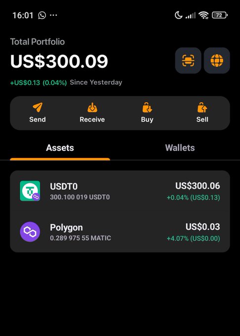 A cryptocurrency wallet app screenshot displaying a total portfolio value of US$300.09, showing holdings of USDT0 (US$300.06) and Polygon (US$0.03), with options to Send, Receive, Buy, and Sell.