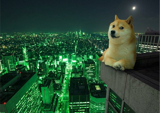A Shiba Inu dog sits atop a skyscraper overlooking a sprawling nighttime cityscape bathed in green light, symbolizing Dogecoin's dominance over the crypto skyline.
