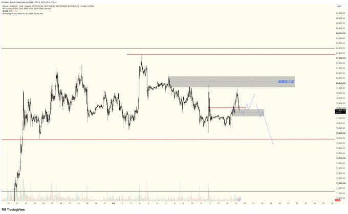 A TradingView candlestick chart showing Bitcoin's price action against the US Dollar, featuring technical analysis overlays including a grey box labeled '蝴蝶力位' (Butterfly level) with blue trend lines.