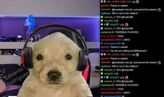 A dog wearing gaming headphones stares at the camera while a Twitch chat scrolls alongside, featuring messages like "TERRIBLE PLAYERS" from "metalstar38" and a host of viewers including "arxy223," "djjendro," and "speedydemon8001" — tying into the livestream promo inviting fans to join via $2 worth of JOTCHUA.