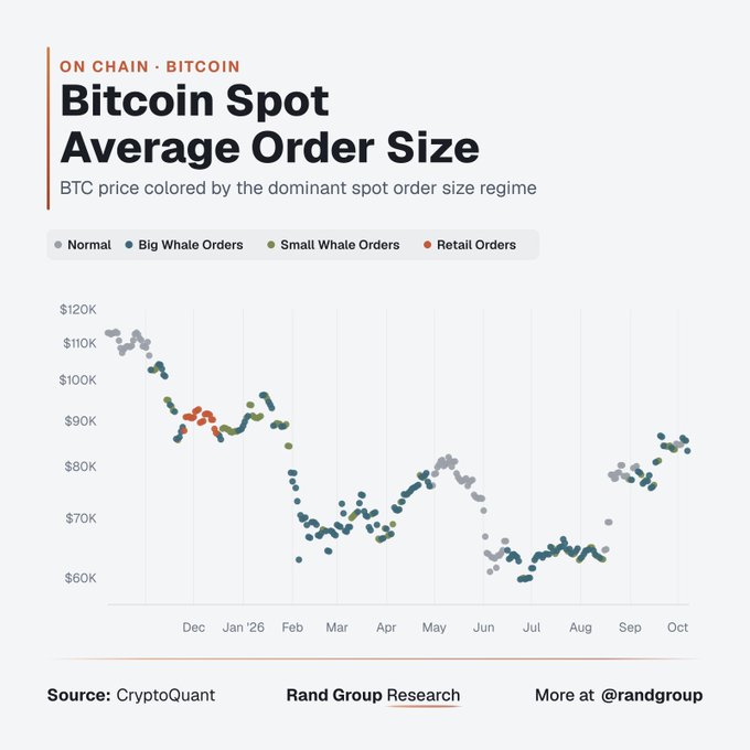 This chart from Rand Group Research displays Bitcoin's spot price over a roughly one-year period (October 2025 to October 2026), with each data point color-coded by the dominant order size regime—Normal (gray), Big Whale Orders (dark blue), Small Whale Orders (olive green), or Retail Orders (orange). The visualization shows that Big Whale Orders dominated during key support levels around $60K (June-July), $70K (February), and $85K (October), while Retail Orders appeared only sporadically near the $90K range in December, reinforcing the post's observation that whales are actively accumulating while retail investors remain sidelined awaiting confirmation.