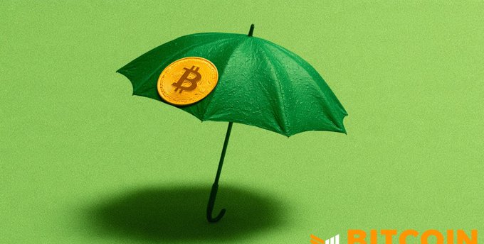 A green umbrella with a golden Bitcoin coin on it, set against a light green background with the word 'BITCOIN' in the bottom right corner.