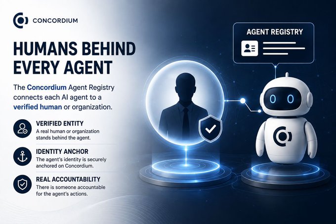 An infographic for 'CONCORDIUM' titled 'HUMANS BEHIND EVERY AGENT,' featuring an illustration of a human in a bubble connected to a robot mascot, highlighting features like Verified Entity, Identity Anchor, and Real Accountability.