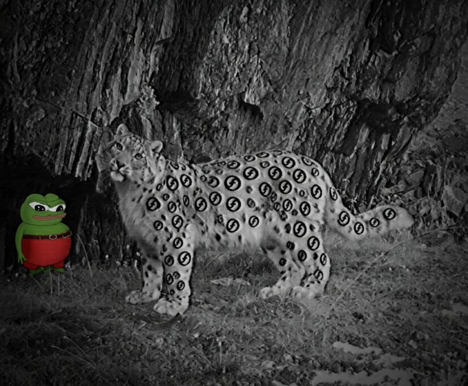 A grayscale image of a snow leopard standing near a rocky wall, with its spots replaced by clock symbols, and a small cartoon frog wearing red shorts superimposed in the lower-left corner.