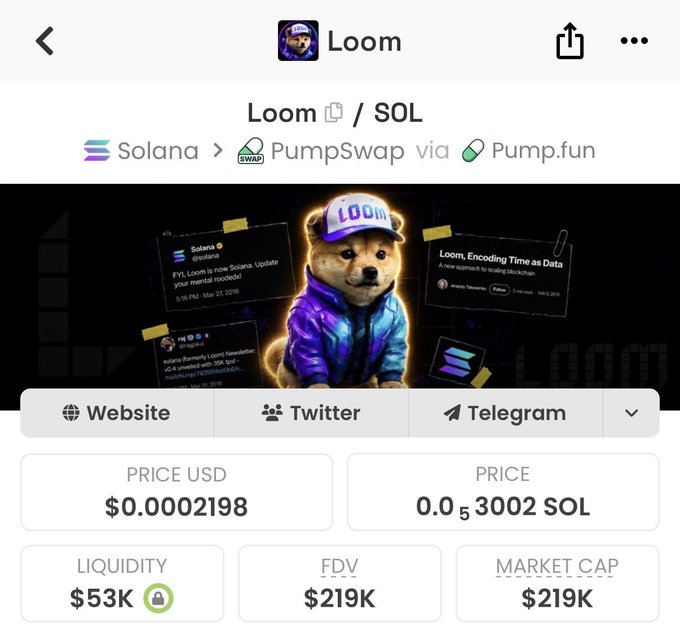 The image displays a cryptocurrency tracking page for "Loom" (ticker: $LOOM) on the Solana blockchain via PumpSwap/Pump.fun, showing a price of $0.0002198 USD (0.0₅3002 SOL), liquidity of $53K, and a market cap/FDV of $219K, with a Shiba Inu mascot graphic. This matches the post's claim about $LOOM as a Solana-based token, with the displayed metrics supporting the bullish "teleporting to millions" sentiment by highlighting its low market cap.