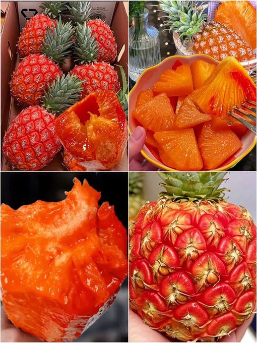 A collage of four images showing bright red pineapples, both whole in a box and sliced into pieces in a bowl and being eaten.