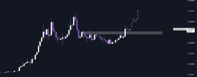 A candlestick chart displays the price action of "USELESSUSDT" with a current value of 0.29383, showing a sharp recent spike upward from a consolidation range highlighted by a horizontal gray band around the 0.25-0.30 level, which aligns with the poster's bullish commentary on the $USLESS token and their claim that it has made money for those smart enough to buy in early.