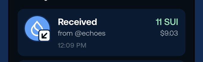 A digital wallet notification showing a received transaction of 11 SUI ($9.03) from @echoes at 12:09 PM.