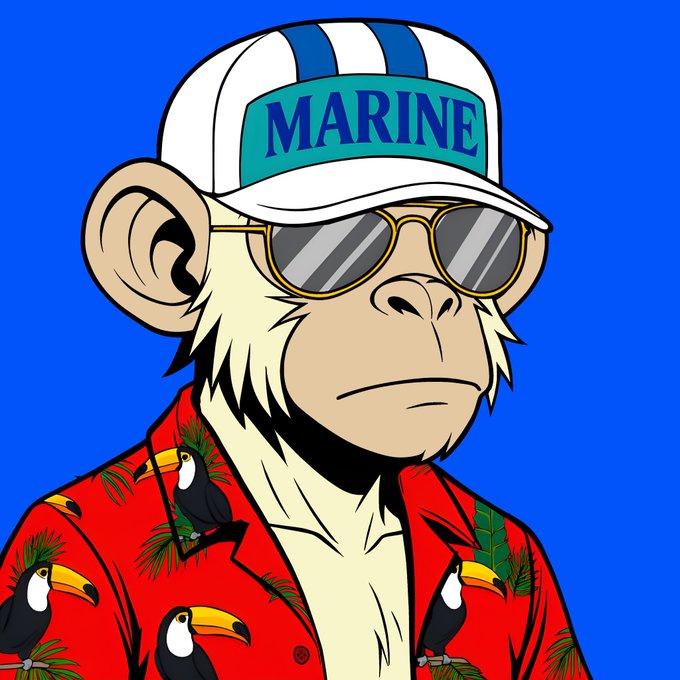 Stylized cartoon illustration of a monkey wearing a white and blue "MARINE" cap, gold-rimmed sunglasses, and a red Hawaiian shirt with toucan patterns against a blue background.