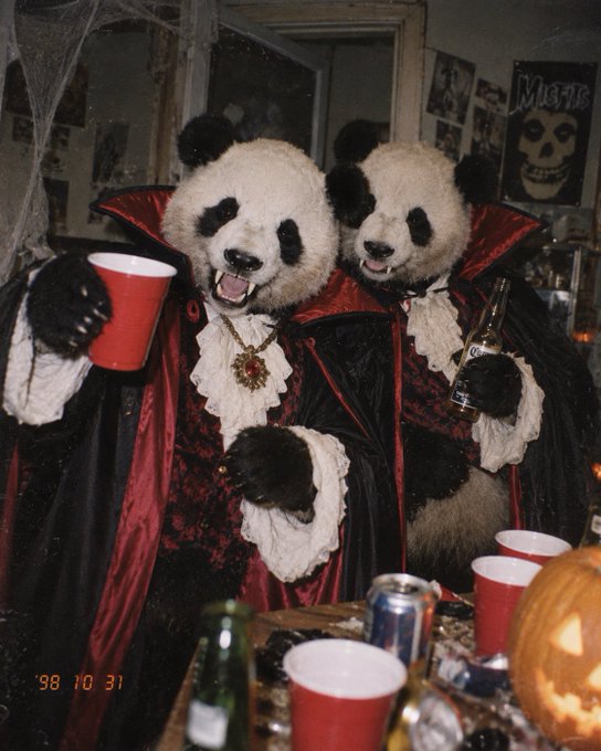 Two people dressed in panda costumes wearing vampire capes pose at a Halloween party, holding red solo cups and a bottle, with a carved jack-o'-lantern and 'Misfits' poster visible in the background.