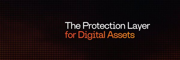 The image features a gray banner with orange text that reads "The Protection Layer for Digital Assets" above an orange circle, which is surrounded by smaller circles of varying sizes. The background color of the banner is black, providing contrast against the white text. Below the banner, there's a small logo in the bottom right corner.