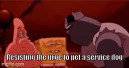 The image features a cartoon scene with two characters - Spongebob Squarepants and Patrick Star. Spongebob is sitting down, while Patrick stands over him. The caption of the image reads "Resisting the urge to pet a service dog". This phrase seems to be a reference to the popular animated series "Spongebob Squarepants" featuring Patrick as his loyal companion.