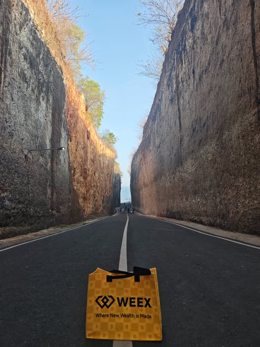 A road scene between towering rock walls with a digital overlay of a yellow checkered bag displaying 'WEEX - Where New Wealth Is Made' on the asphalt.