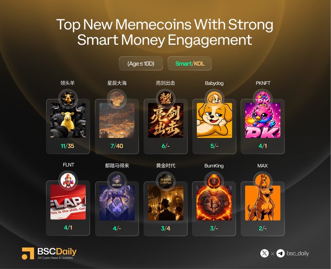 A BSC Daily infographic titled "Top New Memecoins With Strong Smart Money Engagement" displays 10 memecoins (Age ≤ 10D) ranked by smart money/KOL activity, led by 领头羊 (11/35), 星辰大海 (7/40), 亮剑出击 (6/-), Babydog (5/-), PKNFT (4/1), FLNT (4/1), 蜘蛛马得来 (4/-), 黄金时代 (3/4), Burnking (3/-), and MAX (2/-), featuring the X handle @bsc_daily for further crypto news.