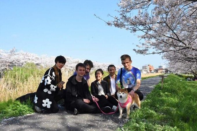 A group of six people pose with a Shiba Inu dog under blooming cherry blossom trees in a park setting.