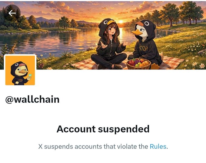 A post has been taken down, along with a message about an account being suspended due to infraction of rules posted by someone who is not identified as the owner or creator of the content displayed. The reason given for suspension is that they violated some rules on this platform, although we cannot see the exact details.
