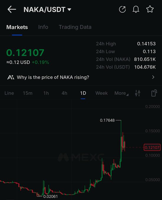 A cryptocurrency trading chart on MEXC shows NAKA/USDT priced at 0.12107, with a daily chart displaying a recent spike to 0.17648.