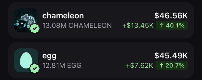 The screenshot displays a crypto portfolio showing two verified tokens—13.08M CHAMELEON at $46.56K (up 40.1%, +$13.45K) and 12.81M EGG at $45.49K (up 20.7%, +$7.62K)—illustrating the trader's high-conviction meme coin positions that could yield a life-changing 10x return if successful.