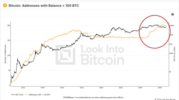A chart titled 'Bitcoin: Addresses with Balance > 100 BTC' from Look Into Bitcoin showing BTC price and address count from 2012 to 2026, with a red circle highlighting recent convergence.
