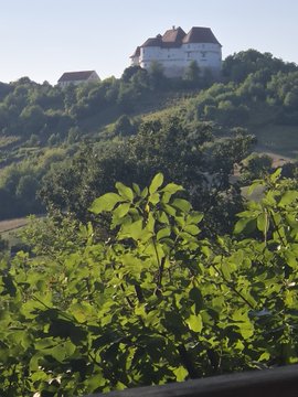 A white castle stands atop a lush, tree-covered hill in the distance, framed by sunlit green foliage in the foreground, evoking a peaceful weekend retreat that perfectly fits the quiet charm of a "Sunday."