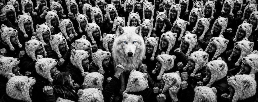 A black-and-white photo showing a crowd of people wearing white wolf head hoods, with a single realistic white wolf head centered in the middle of the group.