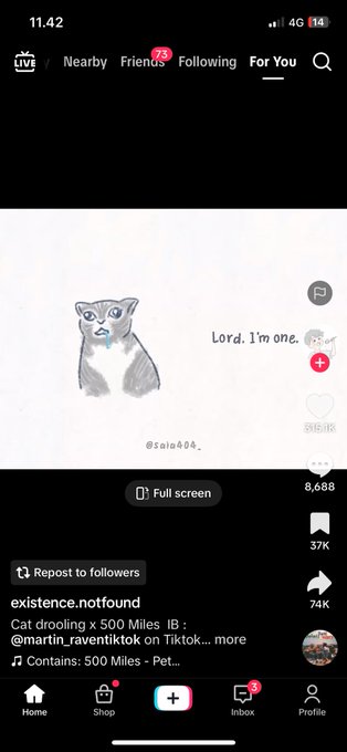 In the image, a screenshot of an Instagram feed is shown with a social media post featuring a cat drawn by a user named Lord I'm one. The post includes text such as "Lord I'm one" and a caption that says "3 token on solana chain". It seems to be related to followers or likes, and the post contains various multimedia elements like emojis and gifs. In this particular instance, however, the focus is on the cat image and its connection to Lord I'm one's social media status.