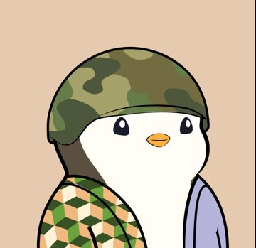 A cartoon illustration of a small bird-like character wearing a camouflage helmet and a checkered camouflage scarf against a beige background.
