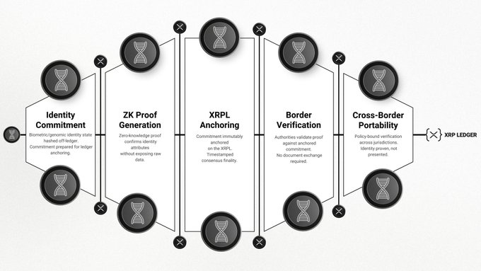 A blockchain diagram illustrating an XRPL identity verification process with five stages: Identity Commitment, ZK Proof Generation, XRPL Anchoring, Border Verification, and Cross-Border Portability leading to the XRP Ledger.