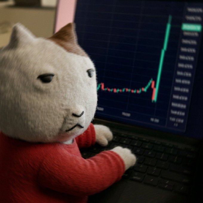 A plush cat in a red shirt sits at a laptop displaying a candlestick chart showing a dramatic upward price spike on the right side. The image humorously illustrates the post's point about community resilience—despite the volatile price action shown on screen, the cat remains calmly at its post, mirroring how $KET holders "haven't moved" even when the chart does.