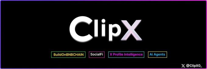 The image depicts a logo for ClipX, which stands out against a black background. It features the name "ClipX" written in white letters on the left side of the design, accompanied by an assortment of text that provides additional information about the product or service related to data privacy and security. The color scheme of the logo includes purple and pink hues, creating a visually appealing contrast with the black background. At least one other text item is visible but not fully visible in the image.