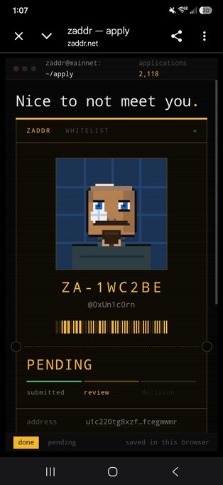A mobile screenshot of a browser displaying the zaddr.net application page, featuring a pixel-art avatar, the text "Nice to not meet you," and a pending application status for user "ZA-1WC2BE".