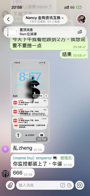 A screenshot of a Chinese messaging app chat showing messages about trading 'meme' tokens and a pinned message about 'Ram', with users discussing taking profits.