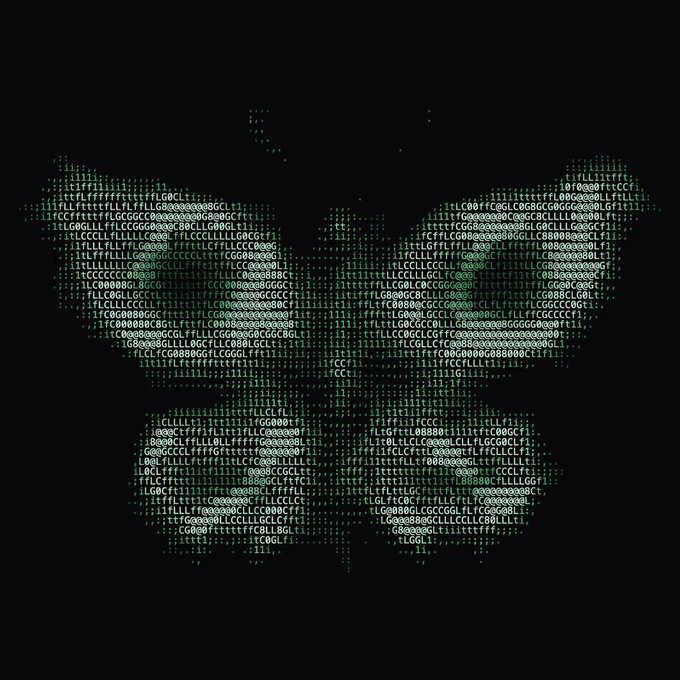 An ASCII art rendering of the Skull and Crossbones (Jolly Roger) flag, formed from stylized letters and symbols in a dark green/teal color palette. The pirate imagery complements the post's theme of a "great entry" into the Robinhood ecosystem, lending a playful "treasure-hunting" or "scouting out opportunities" vibe to the commentary about NTRPY and its partnership with giga_dex.