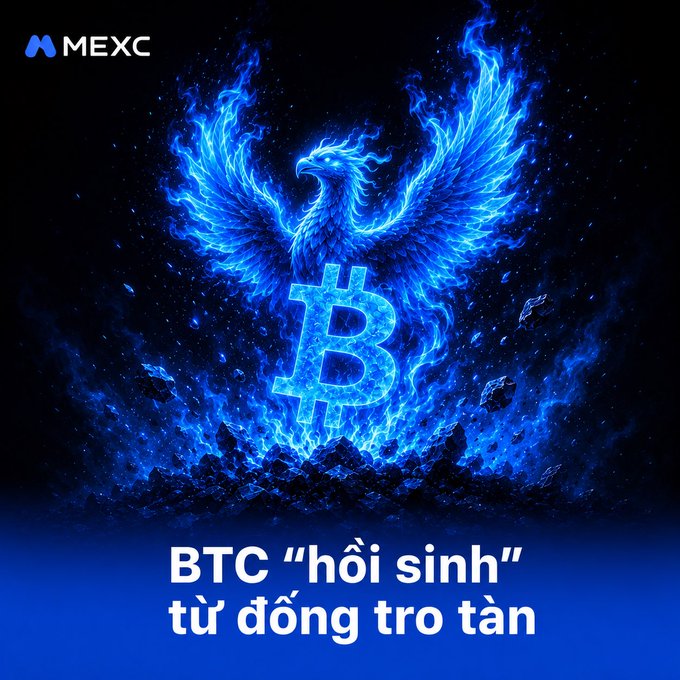 MEXC promotional graphic featuring a blue flaming phoenix with a Bitcoin 'B' symbol and Vietnamese text 'BTC "hồi sinh" từ đống tro tàn' (BTC 'resurrected' from ashes).