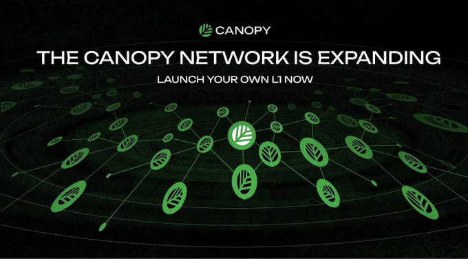 A promotional banner for 'CANOPY' announcing 'THE CANOPY NETWORK IS EXPANDING' with the tagline 'LAUNCH YOUR OWN L1 NOW' against a dark green network visualization background.