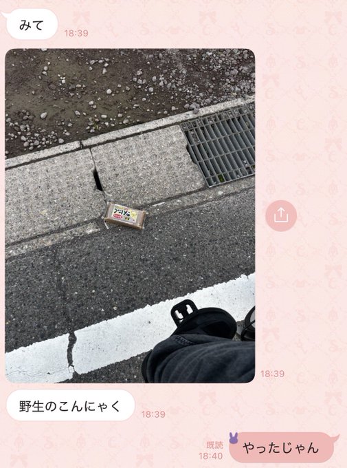 A Japanese LINE chat screenshot where a friend sends a photo ("みて" - look) of a small golden Meltykiss chocolate box lying on a sidewalk near a drain, joking it's a "wild konjac" (野生のこんにゃく), with the reply celebrating finding it.