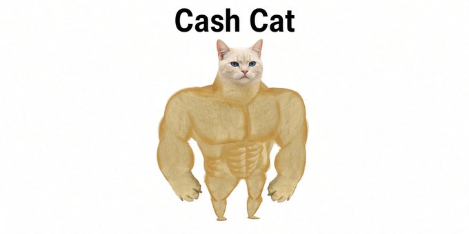The image is a popular "Buff Cat" or "Swole Cat" meme featuring a muscular cat's body with a regular cat's head, labeled "Cash Cat." It relates to the post about "$cashcat," referencing Robinhood being the first major exchange to list the $CASHCAT meme coin, with the buff cat imagery representing the token's branding.