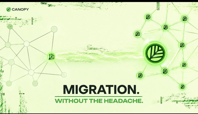 Promotional banner for Canopy advertising "MIGRATION. WITHOUT THE HEADACHE." featuring a green leaf logo and network node graphics.
