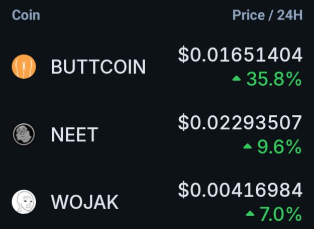 The image displays a screen with two distinct lines of text, one for Bitcoin worths, and another for a different cryptocurrency named "neet", each written in white against black backgrounds. The Bitcoin values are shown as $0.05, while those of neet are presented as $0.02. In the top part of the image, there is a price symbol with three different colors: green, yellow, and orange. This indicates that these Bitcoin prices are currently at 24/h and could be updated in real-time. The main focus here seems to be on the comparison between the two cryptocurrency symbols and their respective values.