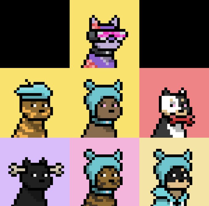 A pixel art grid showcases eight stylized dog characters in colorful pastel squares, each with unique hats and accessories, visually representing the "Doginal Dogs" collection referenced in the post about owning rare doginals. The grid illustrates the user's claim of owning 7 out of only 10,000 existing Doginal Dogs in the collection.