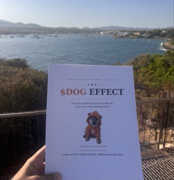 A hand holds up a book titled 'The $DOG Effect' with the subtitle 'The first memecoin native to Bitcoin, born free in the halving block' against a scenic ocean and mountain backdrop.