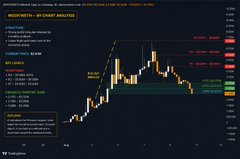 The image shows a trading chart for WOOVEN on Binance, labeled as "WOOF/USDT," with detailed technical analysis including entry zones, take profit levels, and stop loss recommendations. It humorously illustrates the commenter's point that the dense, text-heavy chart is overkill—just a simple "buy $WOOF" message would suffice.