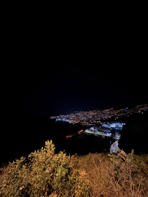 A nighttime view from a hillside overlooking a brightly lit coastal town or city, with vegetation in the foreground.