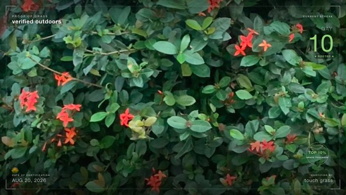 A photograph of a lush green bush with small red flowers, overlaid with a 'verified outdoors' profile frame indicating 'CURRENT STREAK DAY 10' and a date of 'AUG 20, 2026'.