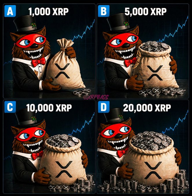 The image shows four different cartoon characters, each holding a bag of coins labeled with numbers such as "10,000 XP", "5,000 XP", and "20,000 XP". The first character holds a large sack filled with coins, while the other three characters have smaller bags containing coins. Each character is dressed in a unique outfit or costume that represents their role in the game. The post suggests that before diversifying your portfolio, you should consider holding at least one of these four bags to maximize your XP points and potentially increase your chances of winning the game.