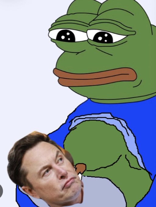 A meme featuring Pepe the Frog holding a teddy bear with Elon Musk's face photoshopped onto it.