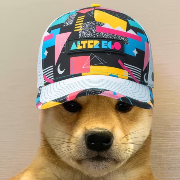 A Shiba Inu puppy sports a colorful, geometric "ALTER ECO" trucker hat. The post title "hatszn" plays on "hats" and "szn" (season), suggesting a new hat collection or a stylish seasonal look.