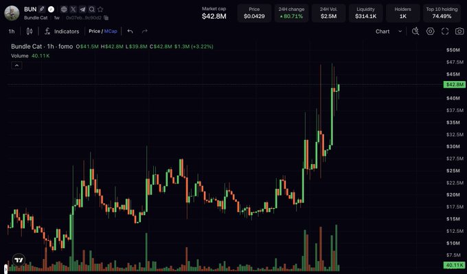 A cryptocurrency price chart for 'BUN' (Bundle Cat) showing a market cap of $42.8M, price of $0.0429, with a 90.71% 24-hour change and 74.49% top 10 holding on a 1-hour timeframe.